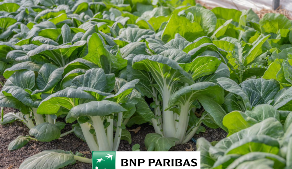 BNP Paribas Fortis finance l'agroécologie belge